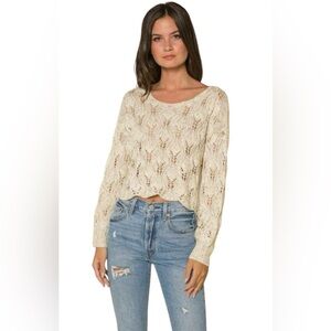 Anthropologie Raga Cream & Gold Lurex Open Cropped Sweater - Cropped Knit Top